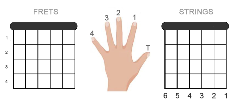 image of frets fingers and string numbers