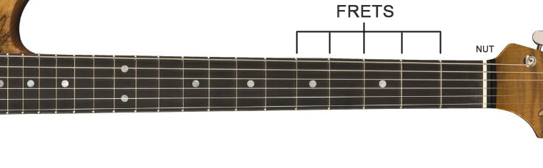 guitar frets picture