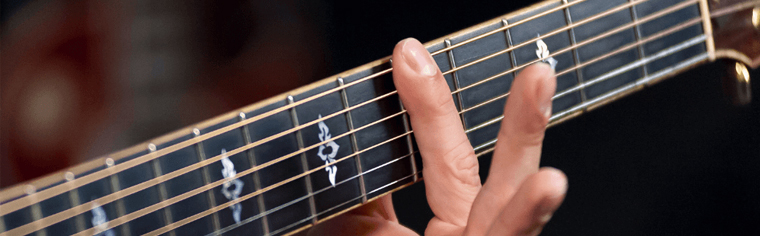 fretting a guitar neck