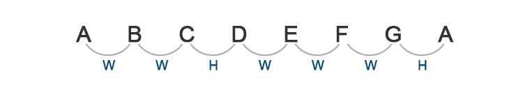 image of frets string names and string numbers