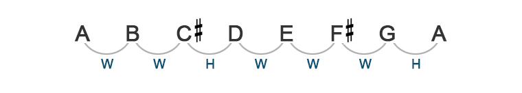 image of frets string names and string numbers
