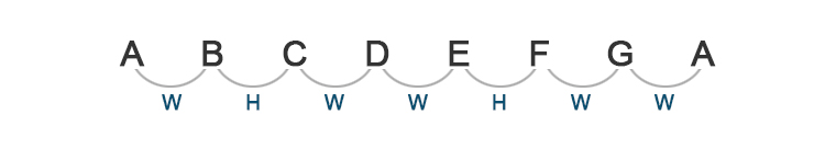 image of frets string names and string numbers