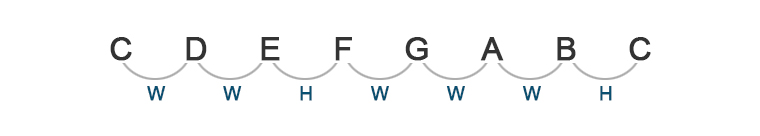 image of frets string names and string numbers