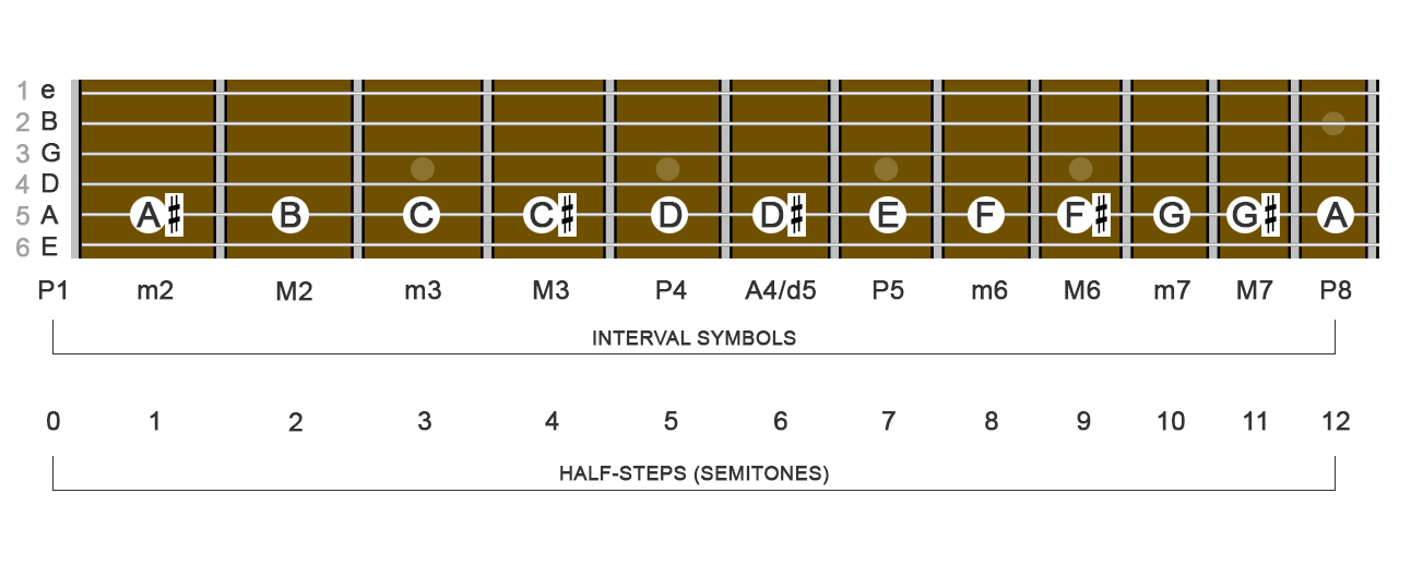 image of frets string names and string numbers