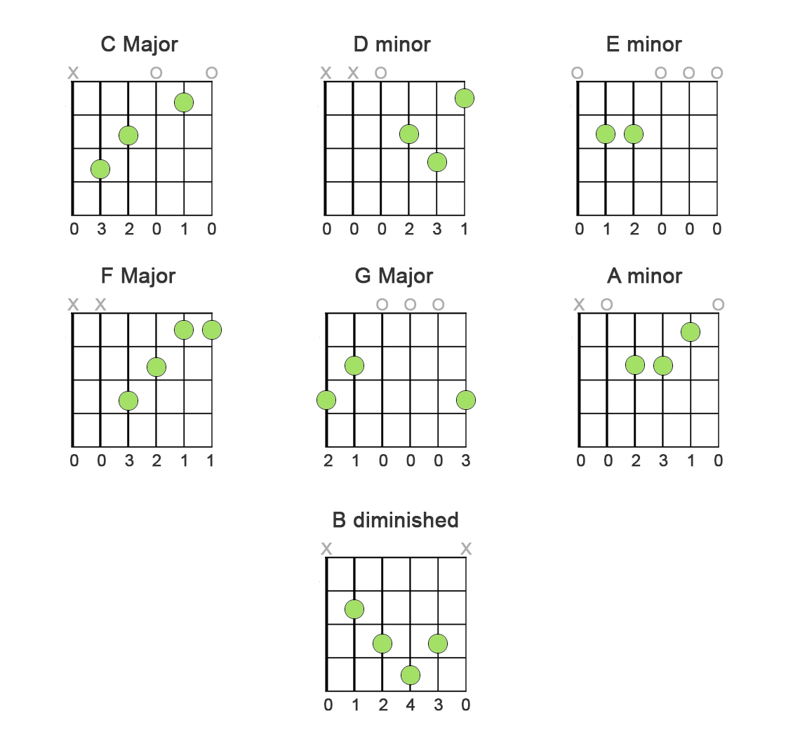 image of frets string names and string numbers